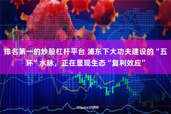 排名第一的炒股杠杆平台 浦东下大功夫建设的“五环”水脉，正在显现生态“复利效应”